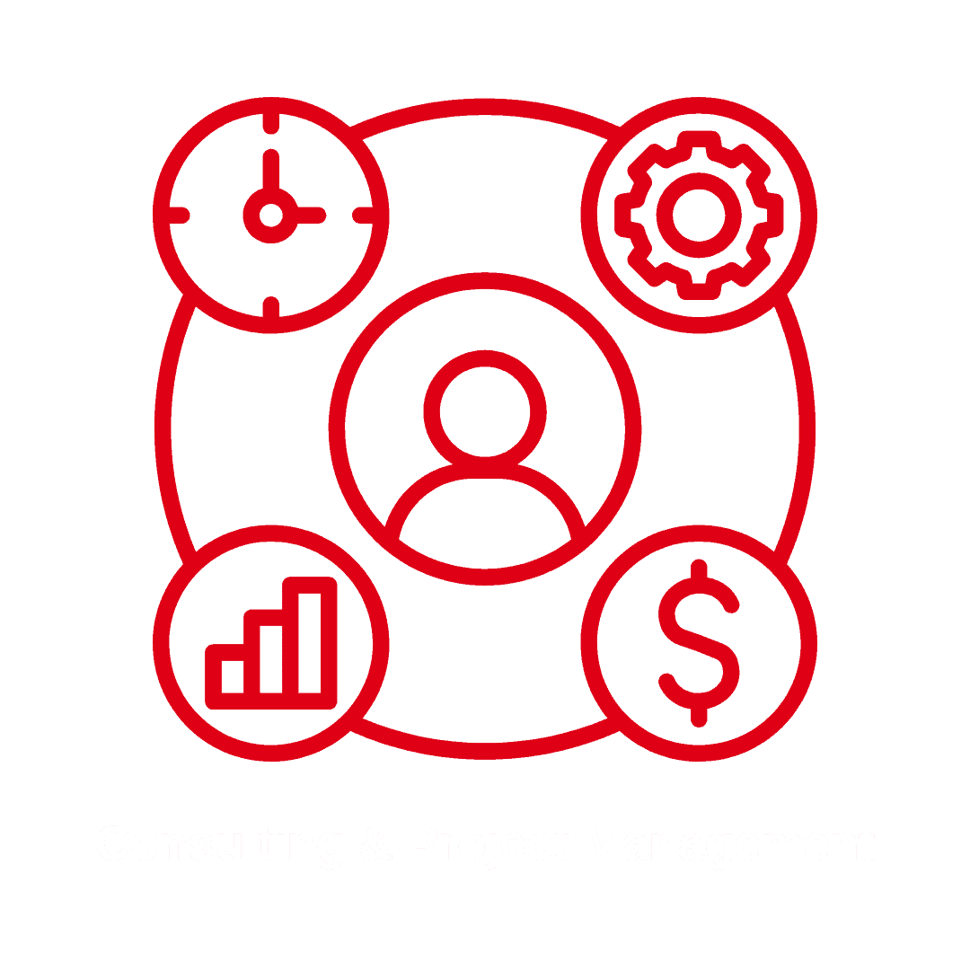 Consulting and Project Management Consulting and Project Management