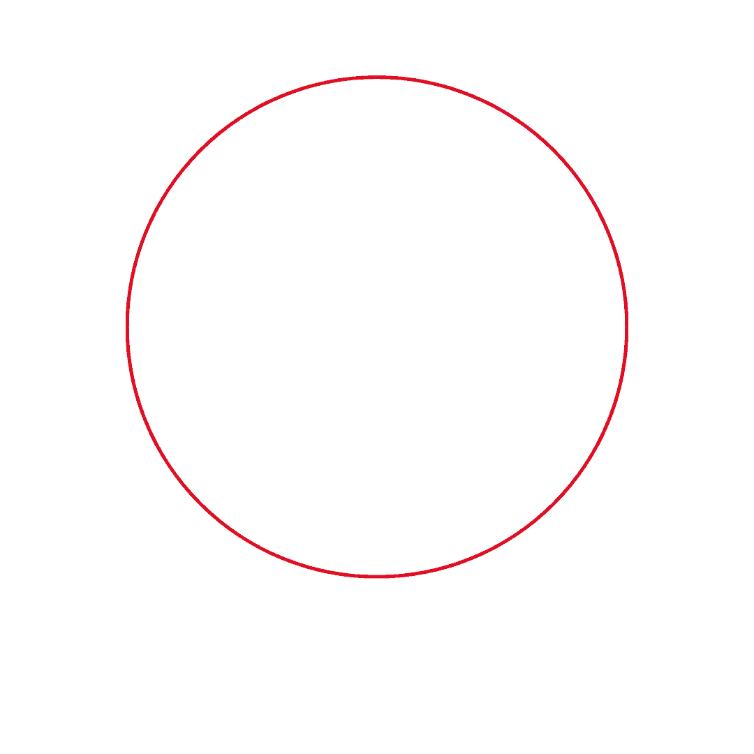 Lebenslauf