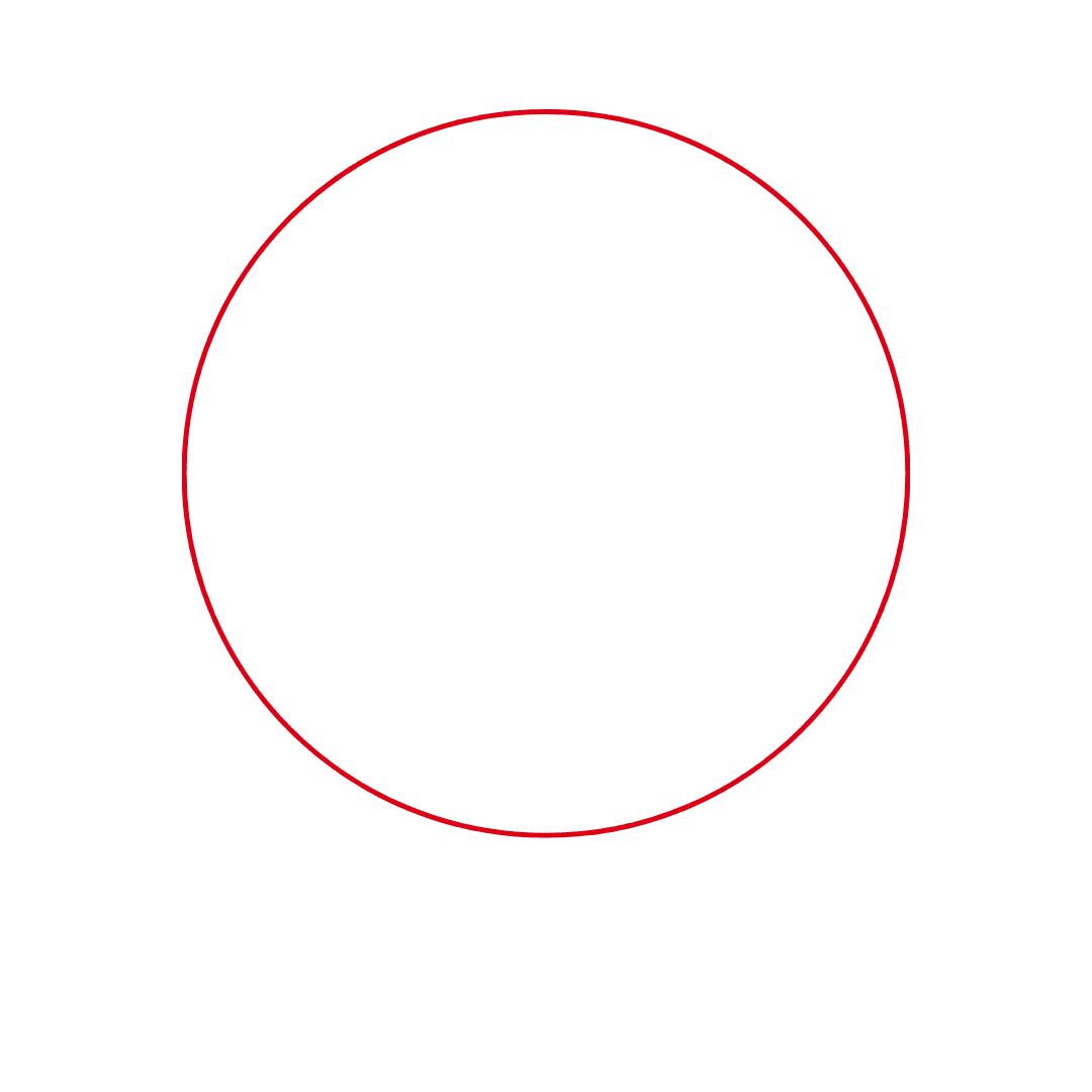 Curriculum vitae